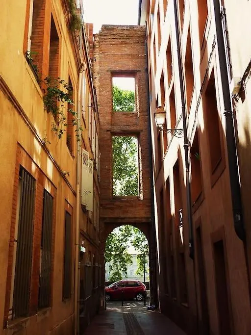 Hypercentre Historique Daurade Apartman Toulouse